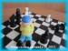 šachovnice Pat zezadu